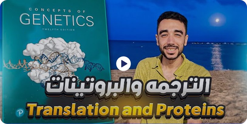 البوتكامب الأكاديمي آفاق