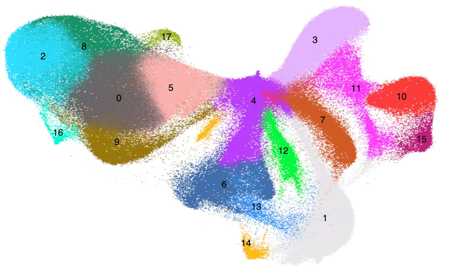 Single Cell RNA-seq